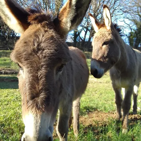 Les Favouilles, Le Pour 15 Personnes Appartement