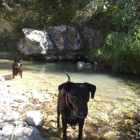 Les Favouilles, Le Pour 15 Personnes Appartement Dauphin