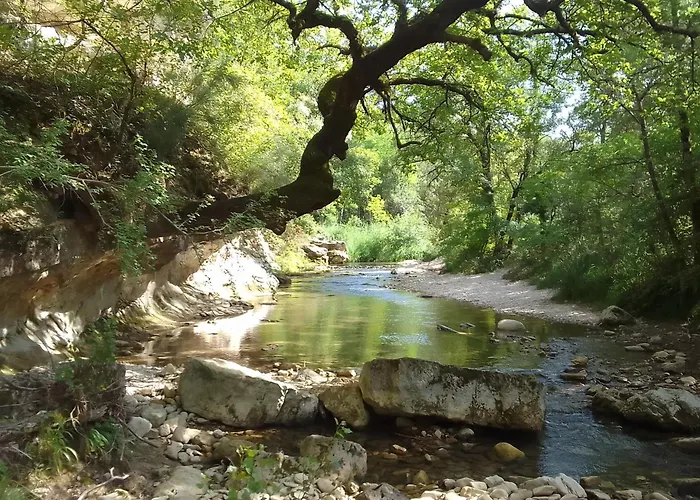 Les Favouilles, Le Pour 15 Personnes Apartment Dauphin